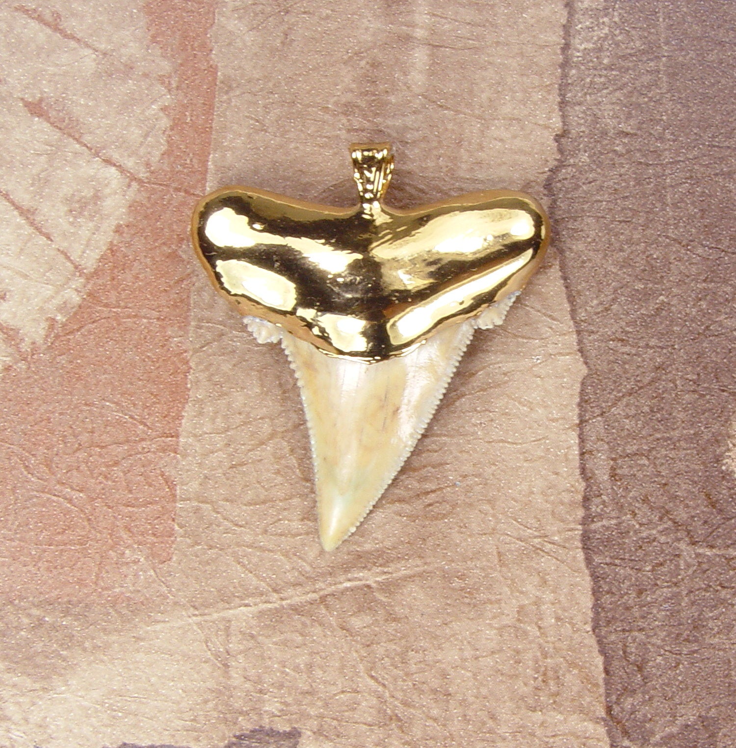 Fossil Angustiden Shark Tooth Pendant with Electroformed 18kt Gold