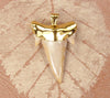 Fossil Mackerel Shark Tooth Pendant with Electroformed 18kt Gold