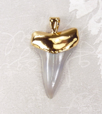 Fossil Mako Shark Tooth Pendant with 18kt Electroformed Gold