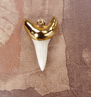 Fossil Mako Shark Tooth Pendant with Electroformed 18kt Gold