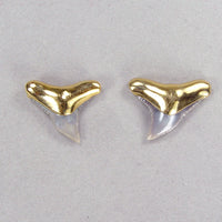 Fossil Gray Shark Tooth Stud Earrings with Electroformed 18kt Gold