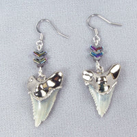 Hemipristis Shark Tooth Earrings with Hypoallergenic Nickel & Chevron Beaded Connectors