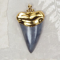 Fossil Great White Shark Tooth Pendant with Electroformed 18kt Gold