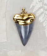 Fossil Great White Shark Tooth Pendant with Electroformed 18kt Gold