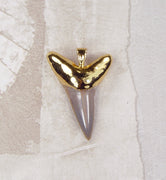 Fossil Mako Shark Tooth Pendant with Electroformed 18kt Gold