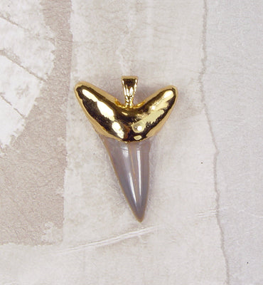 Fossil Mako Shark Tooth Pendant with Electroformed 18kt Gold