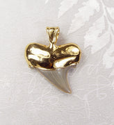 Fossil Angustiden Shark Tooth Pendant with Electroformed 18kt Gold