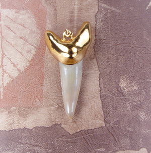 Fossil Mako Shark Tooth Pendant with Electroformed 18kt Gold