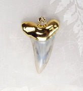 Fossil Mako Shark Tooth Pendant with Electroformed 18kt Gold