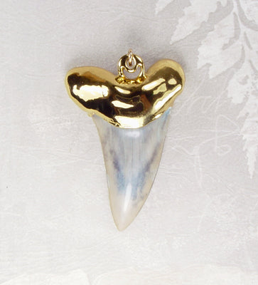 Fossil Mako Shark Tooth Pendant with Electroformed 18kt Gold