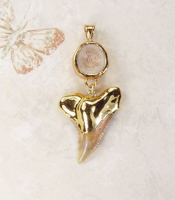 Fossil Hemipristis Shark Tooth & Vertebrae Pendant with Electroformed 18kt Gold