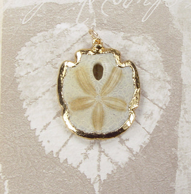 Fossil Sand Dollar Pendant with Electroformed 18kt Gold