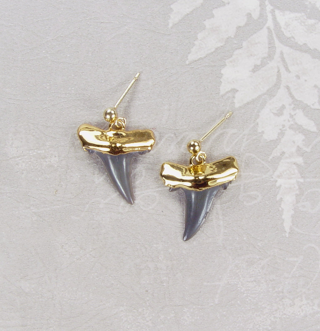 Fossil Shark Tooth Ball Post Stud Earrings with Electroformed 18kt Gold