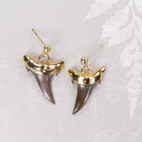 Fossil Shark Tooth Ball Post Stud Earrings with Electroformed 18kt Gold