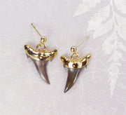 Fossil Shark Tooth Ball Post Stud Earrings with Electroformed 18kt Gold