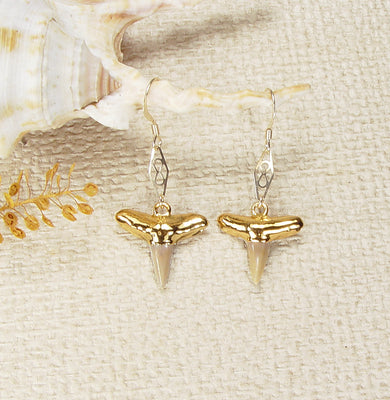 Fossil Lemon Shark Tooth Earrings with Accent Stone Insert & Electroformed 18kt Gold