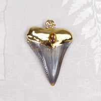 Fossil Great White Shark Tooth Pendant with Tiger's Eye Insert & Electroformed 18kt Gold