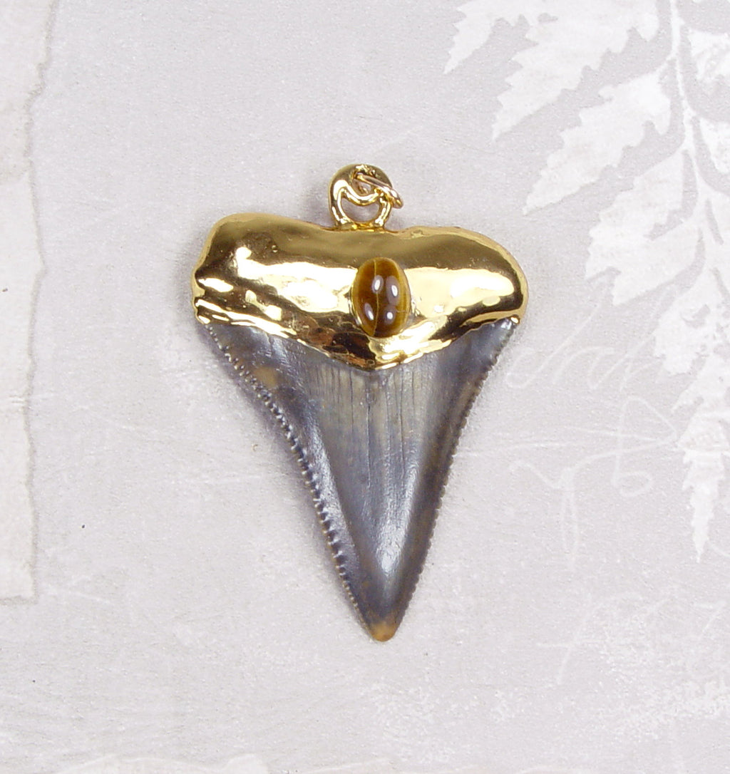 Fossil Great White Shark Tooth Pendant with Tiger's Eye Insert & Electroformed 18kt Gold