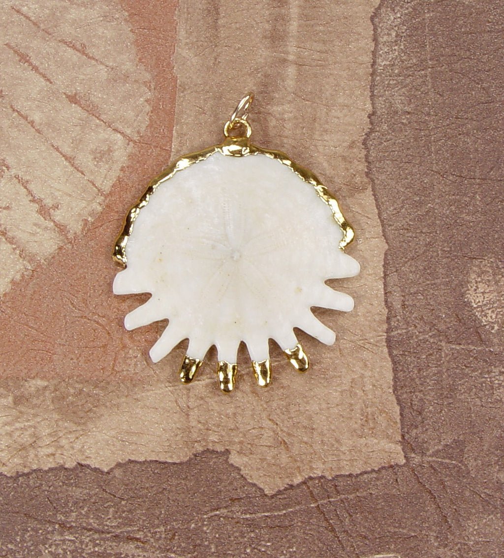 Fossil Heliophora Sand Dollar Pendant with Electroformed 18kt Gold