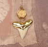 Fossil Angustiden Shark Tooth & Vertebrae Pendant with Electroformed 18kt Gold