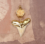 Fossil Angustiden Shark Tooth & Vertebrae Pendant with Electroformed 18kt Gold