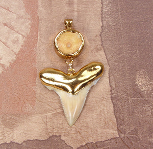 Fossil Angustiden Shark Tooth & Vertebrae Pendant with Electroformed 18kt Gold