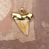 Fossil Mako Shark Tooth Pendant with Electroformed 18kt Gold