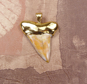 Fossil Mako Shark Tooth Pendant with Electroformed 18kt Gold