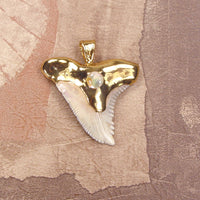 Hemipristis Fossil Shark Tooth Pendant with Pearl Insert & Electroformed 18kt Gold