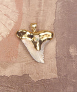 Hemipristis Fossil Shark Tooth Pendant with Pearl Insert & Electroformed 18kt Gold