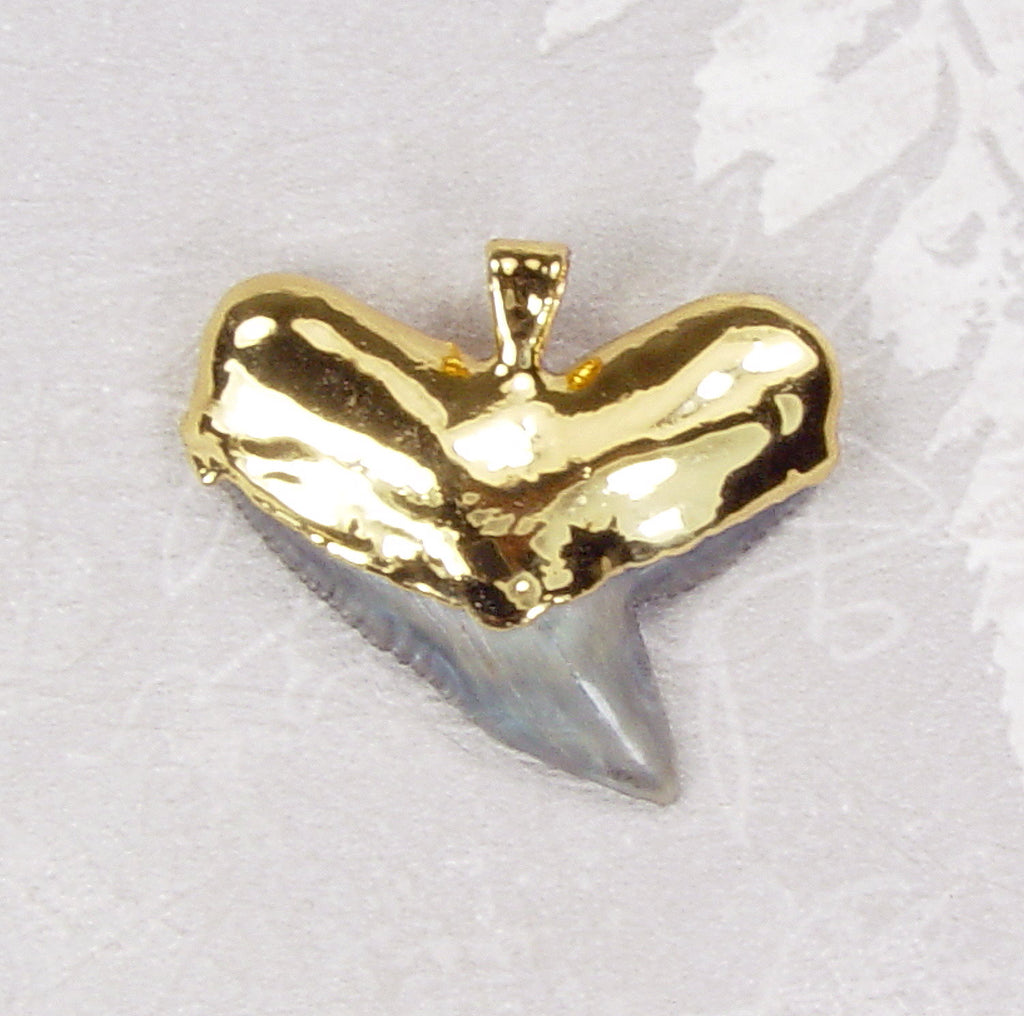 Fossil Tiger Shark Tooth Pendant with Electroformed 18kt Gold