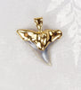 Hemipristis Fossil Shark Tooth Pendant with Electroformed 18kt Gold