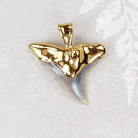 Hemipristis Fossil Shark Tooth Pendant with Electroformed 18kt Gold