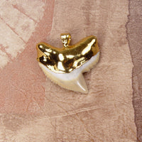 Fossil Tiger Shark Tooth Pendant with Electroformed 18kt Gold