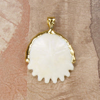 Fossil Heliophora Sand Dollar Pendant with Electroformed 18kt Gold