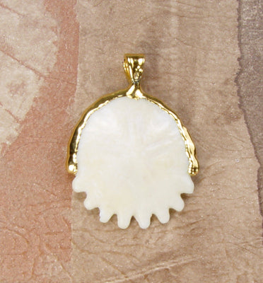 Fossil Heliophora Sand Dollar Pendant with Electroformed 18kt Gold