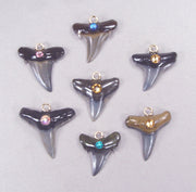 Quantity Discount:  Fossil Shark Tooth Pendants with Resin Roots and Faceted Accents