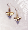 Fossil Bull Shark Tooth Earrings with Electroformed 18kt Gold