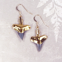 Fossil Bull Shark Tooth Earrings with Electroformed 18kt Gold