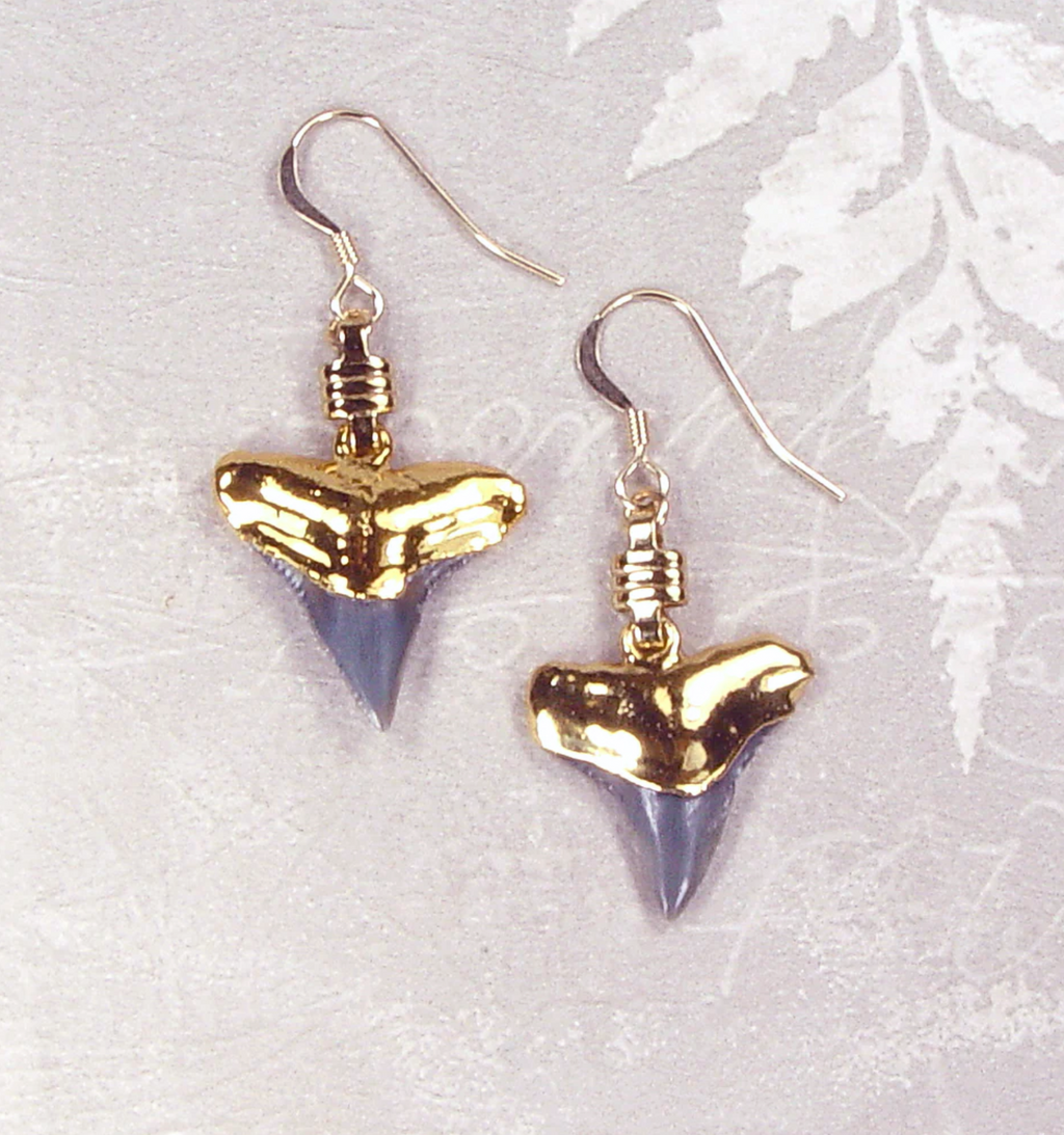 Fossil Bull Shark Tooth Earrings with Electroformed 18kt Gold