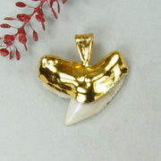 Fossil Tiger Shark Tooth Pendant with Electroformed 18kt Gold