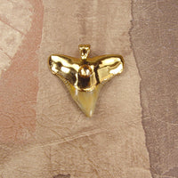 Fossil Bull Shark Tooth Pendant with Electroformed 18kt Gold