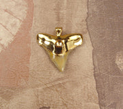 Fossil Bull Shark Tooth Pendant with Electroformed 18kt Gold