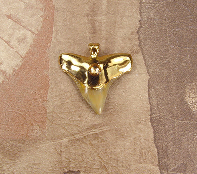 Fossil Bull Shark Tooth Pendant with Electroformed 18kt Gold