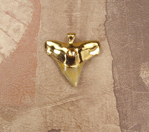 Fossil Bull Shark Tooth Pendant with Electroformed 18kt Gold