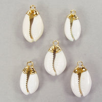Quantity Discount: Ivory White Cowries with Electroformed Gold Cap