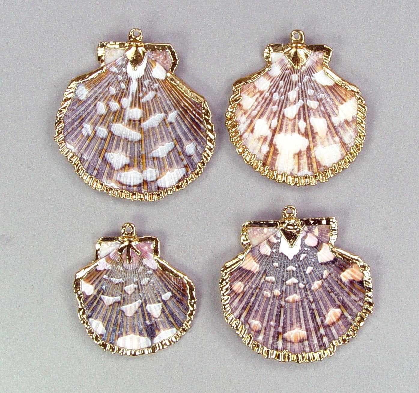 Limited-Time Special: Flat Scallop Seashell Pendants
