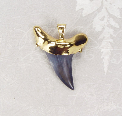 Fossil Shark Tooth Pendant with Electroformed 18kt Gold