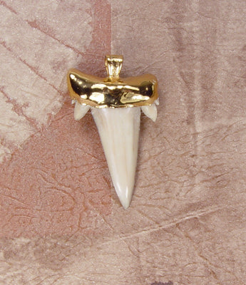 Fossil Mackerel Shark Tooth Pendant with Electroformed 18kt Gold