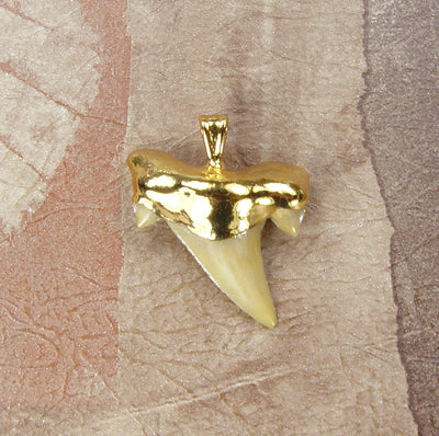 Fossil Mackerel Shark Tooth Pendant with Electroformed 18kt Gold